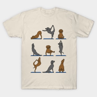 Vizsla Yoga T-Shirt